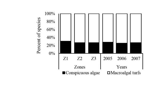 Percentage of conspicuous algae (black) and macroalgae forming turfs (white) in the San Lorenzo Channel coral reef, La Paz Bay, Gulf of California, Mexico