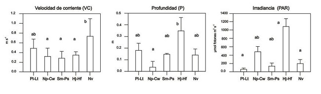Promedio y desviación estándar de las variables microambientales presentes en dos ríos silíceos (Borbollón y Carrizal), Estado de México, RHA IV Balsas, México y tres ríos calcáreos (La Garita, Micos y Tambaque), San Luis Potosí, RHA IX Golfo Norte, México. Velocidad de corriente=VC, radiación fotosintéticamente activa=PAR; profundidad=P. Las especies que comparten letras es porque no hubo diferencias significativas. Las letras distintas (a, b o ab) mostraron diferencias significativas entre especies de acuerdo con el test de Mann-Whitney (p=0.05). Pl=Phormidium lividum (Hansgirg) Forti; Lt=Leptolyngbya truncata (Lemmermann) Anagnostidis & Komárek; Np=Nostoc parmelioides Kützing ex Bornet & Flahault; Cw=Coleodesmium wrangelii Borzì ex Geitler; Sm=Schizothrix mexicana Gomont; Ps=Phormidium subfuscum Kützing ex Gomont; Hj=Homoeothrix juliana (Bornet & Flahault ex Gomont) Kirchner; Hf=Heteroleiblenia fontana (Hansgirg) Anagnostidis & Komárek; Nv=Nostoc verrucosum Vaucher ex Bornet & Flahault