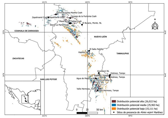 Proyecci&oacute;n geogr&aacute;fica del modelo de distribuci&oacute;n potencial de Abies vejarii Mart&iacute;nez en el noreste de M&eacute;xico