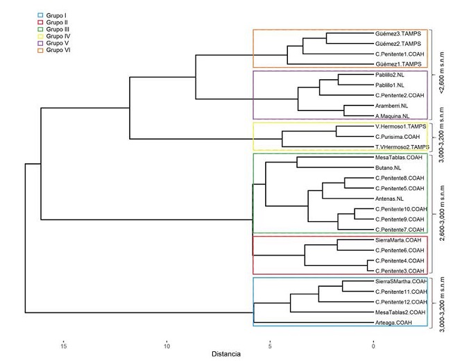 Dendrograma con los principales sitios de distribuci&oacute;n asociados con variables ambientales y topogr&aacute;ficos