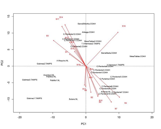 An&aacute;lisis de componentes principales para Abies vejarii Mart&iacute;nez de 28 sitios (nombres) y 18 variables ambientales y topogr&aacute;ficas (l&iacute;neas rojas)