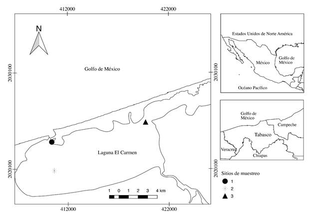 Ubicación de los tres sitios de recolecta de las macroalgas en la
laguna El Carmen, Tabasco, México