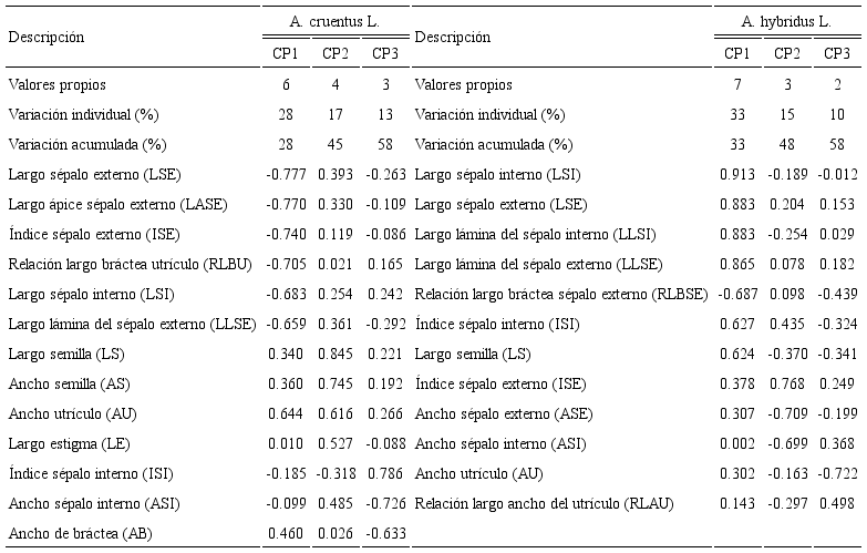 Detalles del an&aacute;lisis de componentes principales (CP) realizados en Amaranthus cruentus L. y A. hybridus L., se&ntilde;alando para los tres primeros componentes, su variaci&oacute;n y los caracteres morfol&oacute;gicos que intervienen en ella.