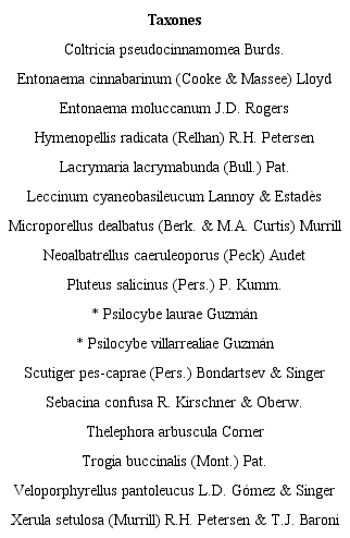 Taxones de hongos propuestos para ser considerados en alguna
							categor&iacute;a de riesgo por su restringida distribuci&oacute;n en el occidente de
							M&eacute;xico. * Especie microend&eacute;mica restringida en su
							distribuci&oacute;n al municipio San Sebasti&aacute;n del Oeste (SSO), Jalisco,
							M&eacute;xico.