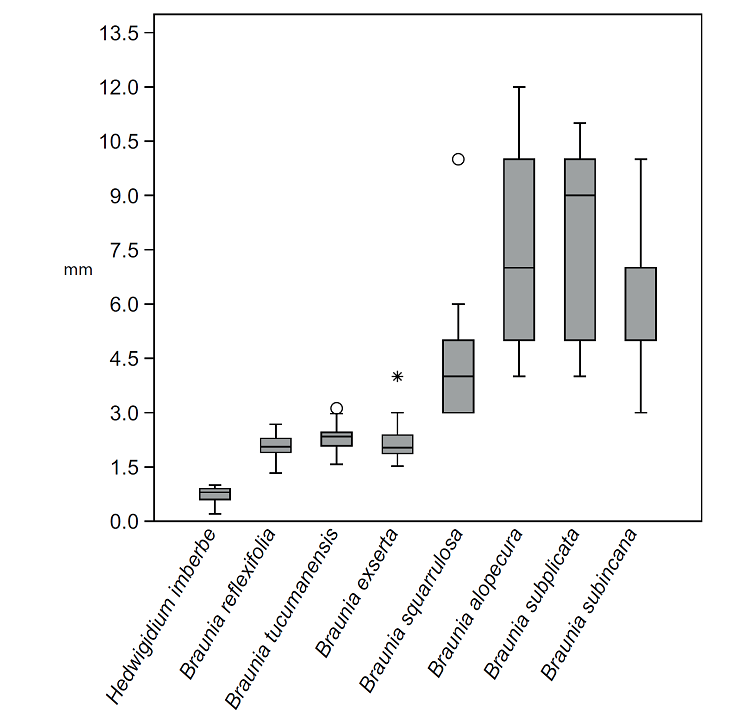 Variation in seta length in Hedwigidium Bruch & Schimp. and Braunia Bruch & Schimp. Comparing distributions of measurements from 278 specimens sampled for Hedwigidium imberbe (Sm.) Bruch and Schimp. and seven species of Braunia Bruch & Schimp. with short setae. Box and whisker plots for each species illustrate estimated median value, quartiles, and the range of seta length measurements. Outliers are identified with symbols.