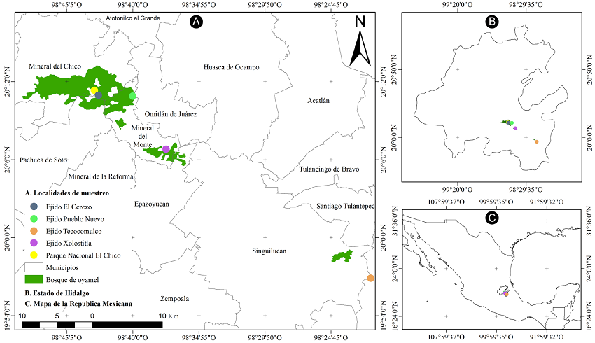 Mapa de distribuci&oacute;n de las localidades con bosque de Abies religiosa (Kunth) Schltdl. & Cham., analizadas en el estado de Hidalgo, M&eacute;xico. A. localidades de muestreo; B. estado de Hidalgo; C. mapa de la Rep&uacute;blica Mexicana.