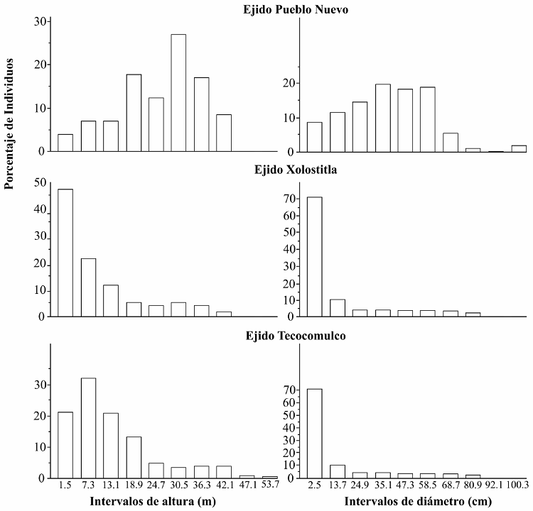 Clases de altura y di&aacute;metro de las cinco poblaciones de Abies religiosa (Kunth) Schltdl. & Cham., analizadas en el estado de Hidalgo, M&eacute;xico.