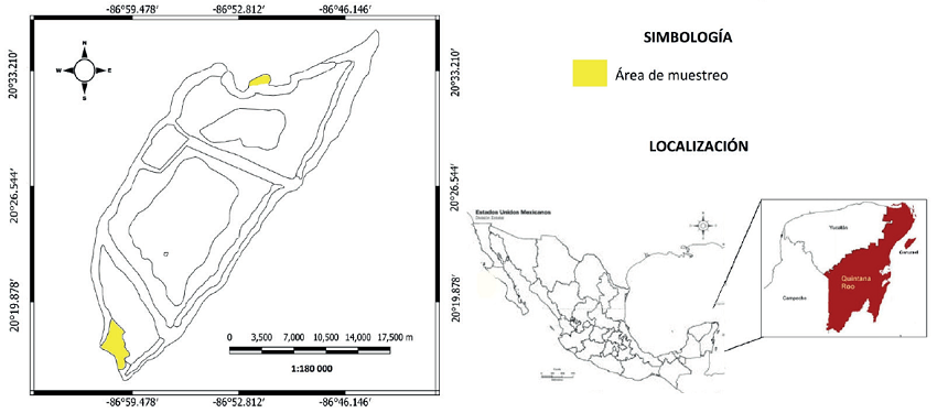 Localización geográfica de la Reserva de la Biosfera Isla de Cozumel, Quintana Roo, México.