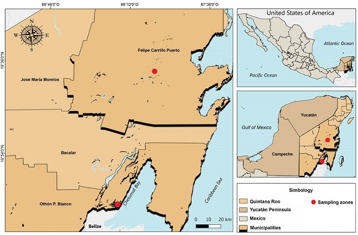Distribution of Melanogaster coccolobae de la Fuente, J. Garc&iacute;a & Guevara.