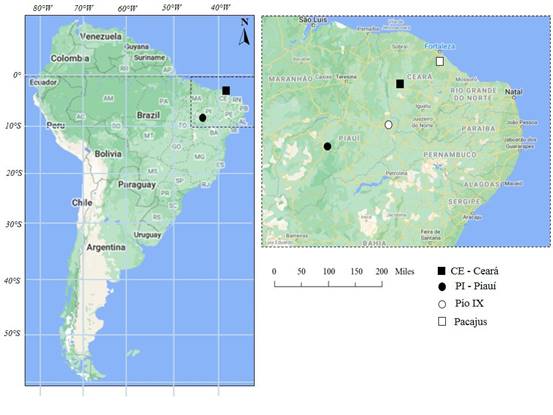 Geographic origin of cashew tree for this study in Brazil. Pacajus (-4.17398, -38.4638) at the Cear&aacute; and Pio IX (-6.84773, -40.5836) at the Piau&iacute;.