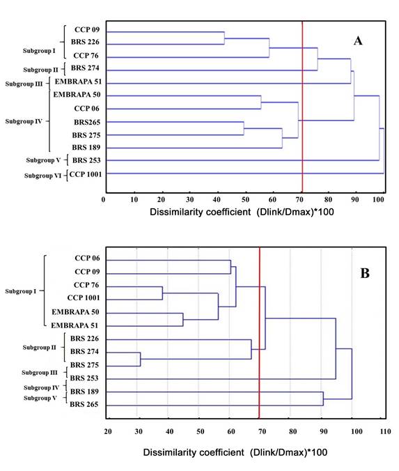 Dendrograms obtained from statistical analyses based on physicochemical (A) and molecular (B) data for the twelve cashew cultivars. A. the dendrogram was constructed using the UPGMA clustering method in the software Genes; B. the dendrogram was obtained in Statistica software. The red line indicates the cutoff point for arrangement of groups.