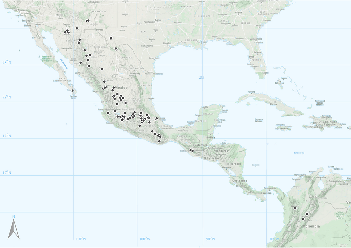 Distribution map of Braunia andrieuxii Lorentz. Each dot is one of the specimens listed in the text.