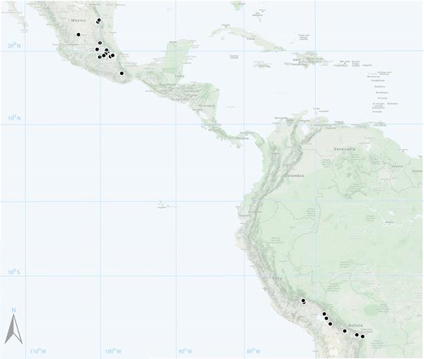 Distribution map of Braunia plicata (Mitt.) A. Jaeger. Each dot is one of the specimens listed in the text.