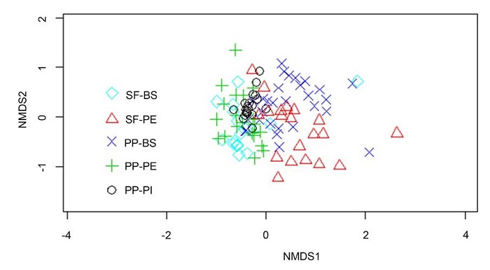 An&aacute;lisis no m&eacute;trico multidimensional (NMDS) basado en la composici&oacute;n de las ep&iacute;fitas vasculares en 110 &aacute;rboles remanentes del g&eacute;nero Ficus L. ubicados en cinco sitios en la Depresi&oacute;n Central de Chiapas, M&eacute;xico. SF-BS=San Fernando-bosque semiconservado, SF-PE=San Fernando-pastoreo extensivo, PP-BS=Piedra Parada-bosque semiconservado, PP-PE=Piedra Parada-pastoreo extensivo, PP-PI=Piedra Parada-pastoreo intensivo.