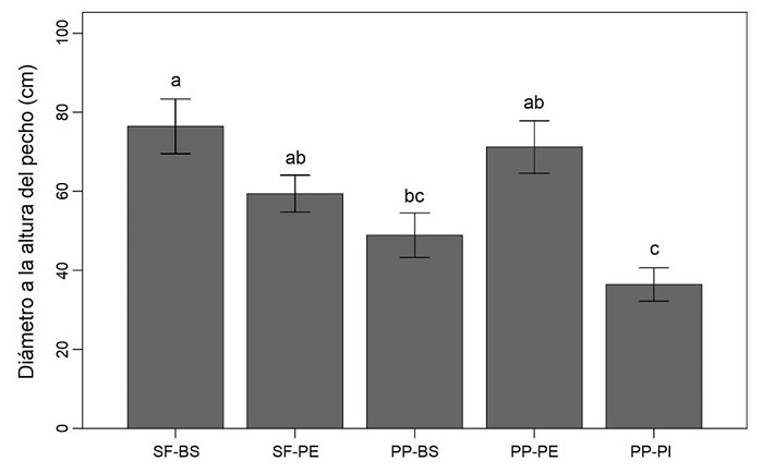 Valores del di&aacute;metro a la altura del pecho de los &aacute;rboles remanentes del g&eacute;nero Ficus L. en cinco sitios en la Depresi&oacute;n Central de Chiapas, M&eacute;xico. Valores promedios &plusmn; error est&aacute;ndar. Letras diferentes (a, b, c) indican diferencia significativa (Prueba de Tukey: p<0.05). SF-BS=San Fernando-bosque semiconservado, SF-PE=San Fernando-pastoreo extensivo, PP-BS=Piedra Parada-bosque semiconservado, PP-PE=Piedra Parada-pastoreo extensivo, PP-PI=Piedra Parada-pastoreo intensivo.