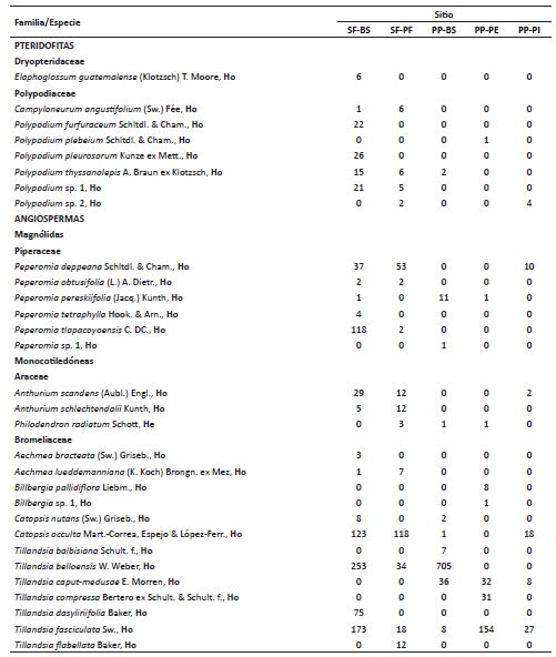 Listado de las especies de ep&iacute;fitas vasculares y su abundancia, en 110 &aacute;rboles remanentes ubicados en cinco sitios en la Depresi&oacute;n Central de Chiapas, M&eacute;xico. He=Hemiep&iacute;fita, Ho=Holoep&iacute;fita, SF-BS=San Fernando - bosque semiconservado, SF-PE=San Fernando-pastoreo extensivo, PPBS= Piedra Parada-bosque semiconservado, PP-PE=Piedra Parada-pastoreo extensivo, PP-PI=Piedra Parada-pastoreo intensivo.
