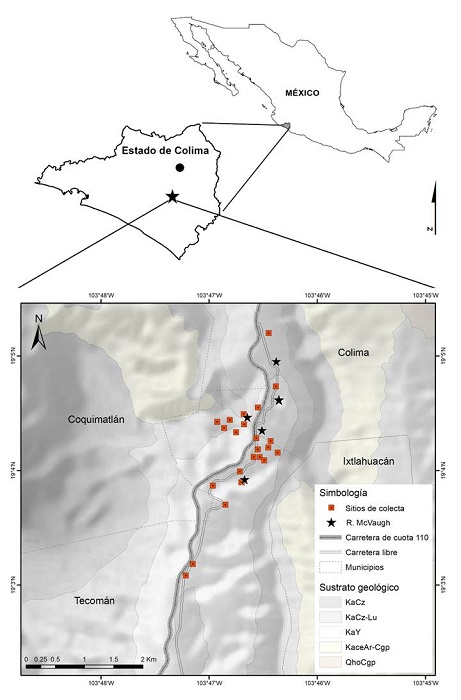 Ubicación del área de estudio en Colima, México (en el recuadro,
los cuadros rojos indican sitios de colecta realizada por los
autores y las estrellas señalan sitios de colecta histórica de R.
McVaugh). El círculo sólido representa la ciudad de Colima. Los
símbolos de sustratos geológicos son: KaCz=Caliza del Cretácico
Inferior (piso Albiano), KaCz-Lu=Caliza con Lutita del Cretácico
Inferior (Albiano), KaY= Yeso del Cretácico Inferior (Albiano),
KaceAr-Cgp=Arenisca Conglomerado polimíctico del Cretácico Inferior
(Albiano-Cenomiano) y Qho-Cgp=Conglomerado polimíctico del
Cuaternario (Holoceno). Fuentes: CONABIO (2004), SGM
(2010), INEGI
(2013).
