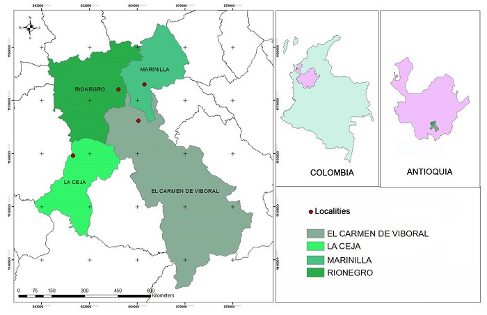 Location map of the sampling sites of Thunbergia alata Bojer ex Sims in Antioquia, Colombia.