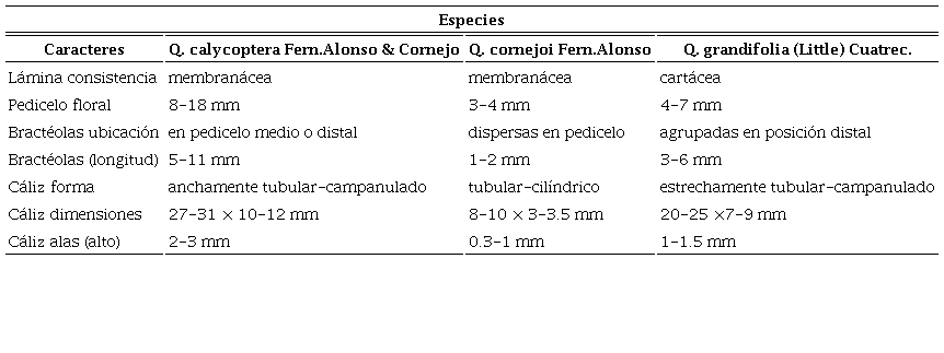 Características morfológicas de Quararibea calycoptera Fern. Alonso & Cornejo, comparada con otras especies relacionadas.