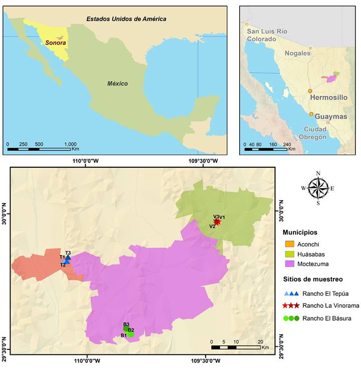 Ubicación de las poblaciones de Agave angustifolia Haw. estudiadas en Sonora, México.