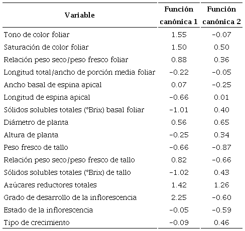 Coeficientes canónicos estandarizados de las principales variables evaluadas en Agave angustifolia Haw. En poblaciones silvestres de tres municipios del estado de Sonora, México.