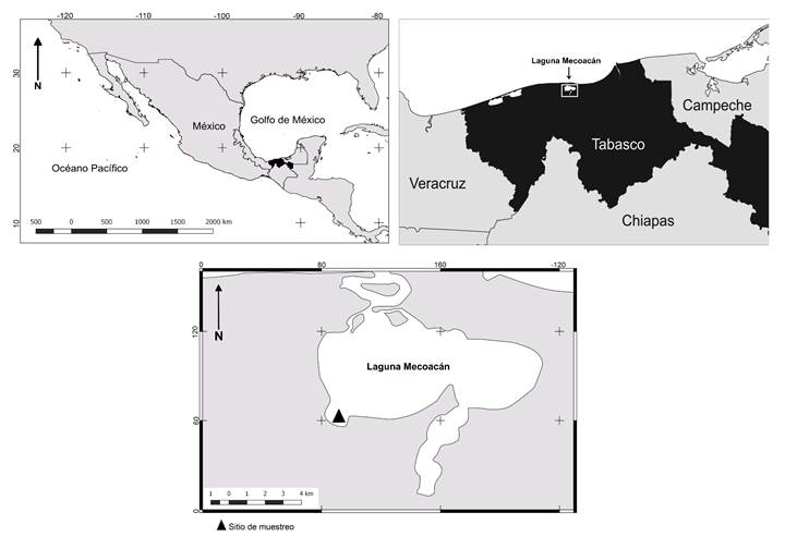 Ubicaci&oacute;n de la laguna Mecoac&aacute;n, Tabasco, M&eacute;xico.