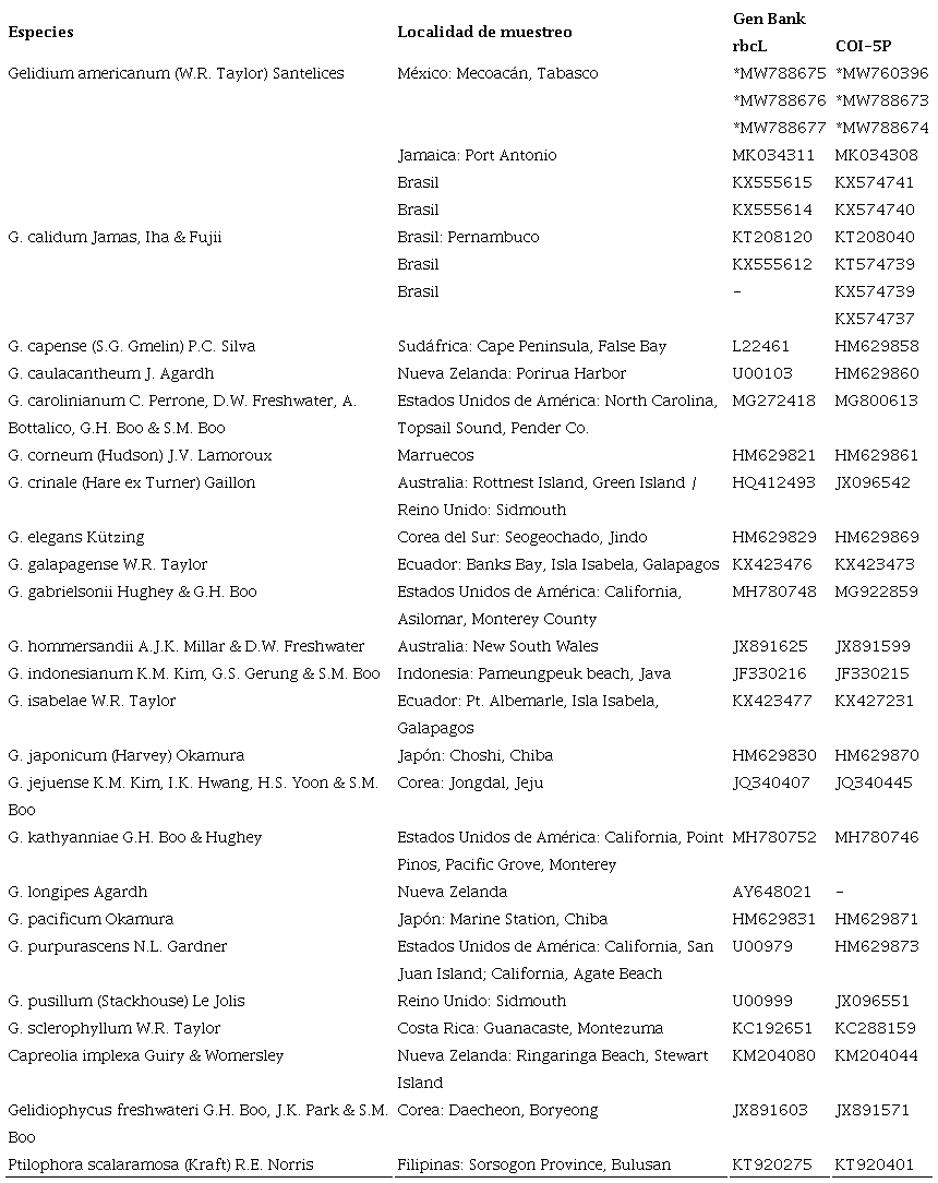 Secuencias de rbcL y COI-5P generadas en el presente estudio y obtenidas de GenBank (2021). Con asterisco se indican las accesiones de las secuencias obtenidas en este trabajo.