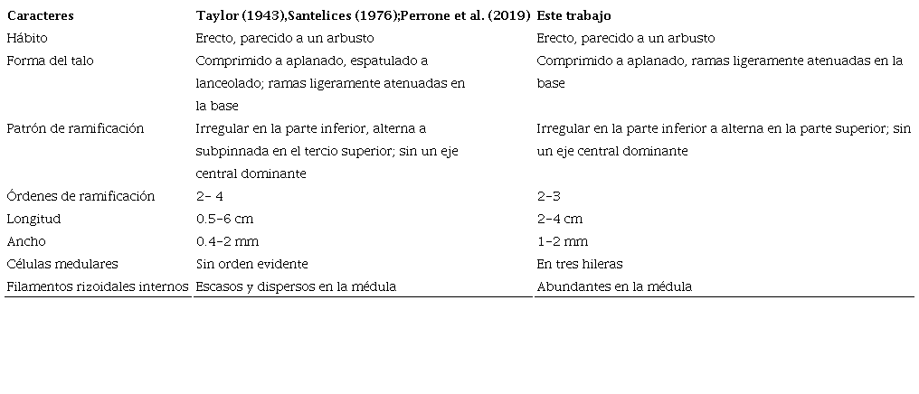 Comparaci&oacute;n de los caracteres morfol&oacute;gicos descritos por otros autores y en el presente estudio para Gelidium americanum (W.R. Taylor) Santelices.