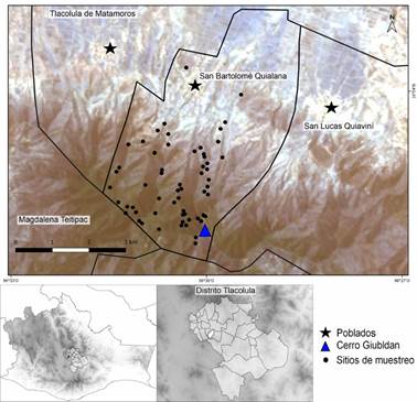 Cerro Giubldan, municipio San Bartolomé Quialana, distrito
								Tlacolula, Oaxaca, México. Mapa elaborado por J.
								Aragón-Parada.