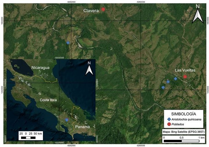 Geographic distributions of Aristolochia quiricoana J.E. Jim&eacute;nez, M.A. Blanco & M. Cede&ntilde;o in Costa Rica (based on herbarium specimens). The inset shows the area in Costa Rica where all the collections have been found; the larger map has the same area in higher magnification, showing the various localities of individual collections.