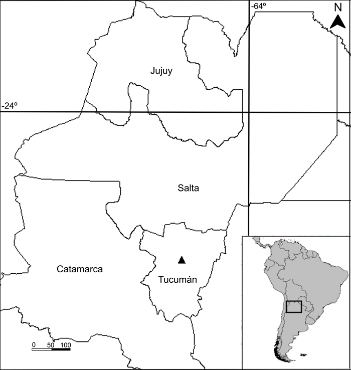 Collection site of Anemia phyllitidis (L.) Sw. var. phyllitidis in El Parque stream, Tucum&aacute;n, Argentina. The triangle represents the collection locality.