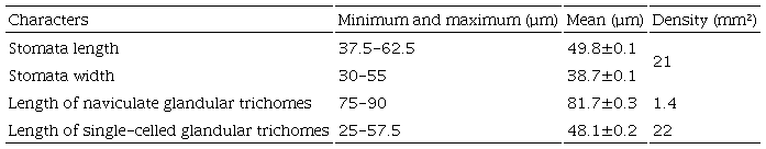 Size and density of stomata and trichomes of the sterile pinnae of Anemia phyllitidis (L.) Sw. var. phyllitidis.