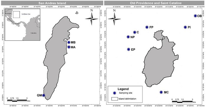 Map of San Andres, Old Providence and Saint Cataline Islands, Colombia, which are part of the International Biosphere Reserve Seaflower, located in the southwestern Caribbean, Colombia, with sampling sites. C=Canolly; EP=El Planch&oacute;n; FP=Felipe&rsquo;s Place; GM=Green Moon; MA=Mar Azul; MB=Between Mar Azul and Bahia Honda; MC=Manta&rsquo;s City; NP=Nick&rsquo;s Place; OB=site outside barrer reef; PI=Pinaculos.