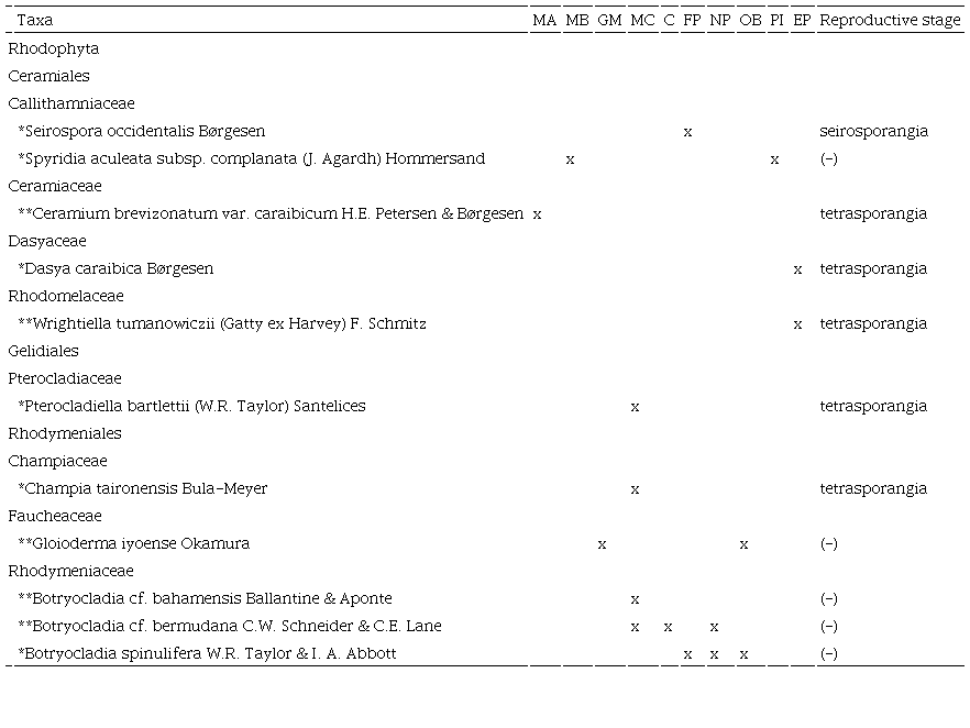 List of new records of Rhodophyta and site of collection within the International Biosphere Reserve Seaflower, located in the southwestern Caribbean, Colombia. (MA=Mar Azul; MB=Between Mar Azul and Bahia Honda; GM=Green Moon; MC=Manta&rsquo;s City; C=Canolly; FP=Felipe&rsquo;s Place; NP=Nick&rsquo;s Place; OB=site outside barrer reef; PI=Pinaculos; EP=El Planch&oacute;n. New records for the Archipelago (*), new records for Colombia (**), specimens without information on reproductive stage (-). Collection number: BFC=N. Rinc&oacute;n-D&iacute;az, HV=H. Velazquez, PVA= B. Gavio, VR=V. Reyes. Samples are deposited in the herbarium JIW.