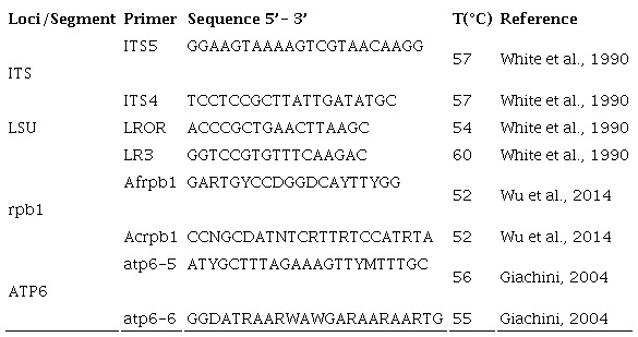 Primers used in the amplification and sequencing of the DNA fragments.