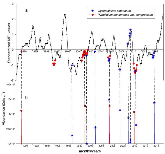 A. Location of the dates of the HAB events of Gymnodinium catenatum Graham and Pyrodinium bahamense var. compressum (Böhm) Steid., Tester & F.J.R.Taylor in the tropical eastern Pacific, on the graphic of temperature anomalies of the Pacific. The graph was constructed with monthly values of the ENSO Multivariate Index (MEI) from 1989 to 2015. The MEI includes six climatic variables. Positive anomalies indicate that the temperature observed was warmer than the historical average, negative anomalies indicate that the observed temperature was colder than the historical average. Values above 1.0 or below -1.0 indicate conditions El Niño or La Niña respectively. B. Graphic of abundances of Gymnodinium catenatum and Pyrodinium bahamense var. compressum on the dates in which they produced HAB in Acapulco Bay, Mexico.