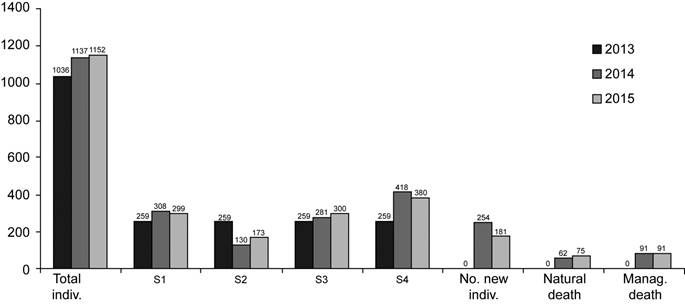 Oncidium poikilostalix (Kraenzl.) M.W. Chase & N.H. Williams (Orchidaceae). Total number of individuals labelled per year (2013-2015) and number of individuals per life stage (young plant (S1), juvenile (S2), reproductive adult I (S3), reproductive adult II (S4)), in the population studied in the region of Soconusco, Chiapas, Mexico. Number of new individuals recruited into the population each year, and number of individuals that die per year, from natural causes (pests, diseases, climatic factors), or as a direct result of the traditional management practices of the coffee plantation.