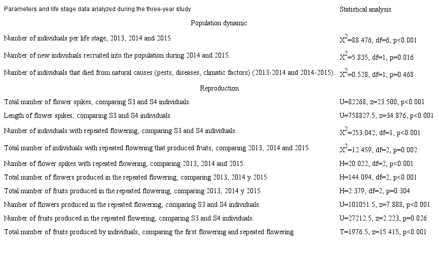 Statistical analysis and parameters considered in a population of Oncidium poikilostalix (Kraenzl.) M.W. Chase & N.H. Williams (Orchidaceae), in the region of Soconusco, Chiapas, Mexico. S3: reproductive adult I; S4: reproductive adult II. In bold, the significant results are highlighted.