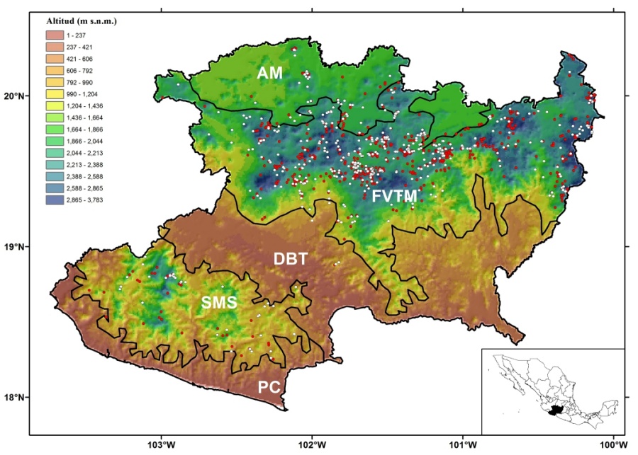 Regiones fisiográficas de Michoacán basado en la propuesta de Durán y Sevilla (2003): AM: Altiplano; DBT: Depresión del Balsas-Tepalcatepec; FVTM: Faja Volcánica Transmexicana; PC: Planicie Costera; SMS: Sierra Madre del Sur. Las especies de la sección Lobatae están representados en círculos rojos y las de la sección Quercus en círculos blancos.
