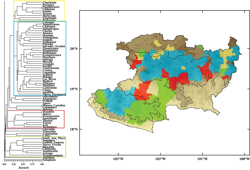 Identificación de cuatro grupos principales en que se clasifican los municipios con base en la similitud de las especies de encinos compartidas entre unidades políticas del estado de Michoacán. Los resultados en el mapa se muestran sobre un modelo digital de elevación. El color ocre representa ausencia de especies de encino, en color amarillo se identifican las zonas más áridas relacionadas con el Altiplano (AM), en color azul se reconocen las zonas templadas húmedas a subhúmedas, principalmente de la Faja Volcánica Transmexicana (FVTM); en color verde el área relacionada con la Sierra Madre del Sur (SMS) con elevaciones inferiores a 2500 m s.n.m.; en color rojo se representan áreas de baja montaña localizadas entre la FVTM y la Depresión del Balsas-Tepalcatepec (DBT).