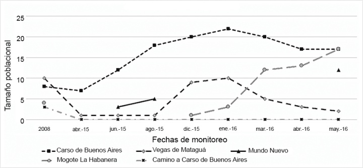 Evolución del tamaño poblacional de Pinguicula jackii Barnh. subsp. jackii desde 2008 a mayo de 2016.