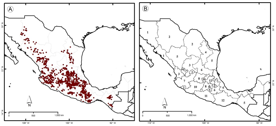 Mapas de distribución y riqueza de especies de Dahlia Cav. en México. A. puntos de ocurrencia; B. riqueza por división política.