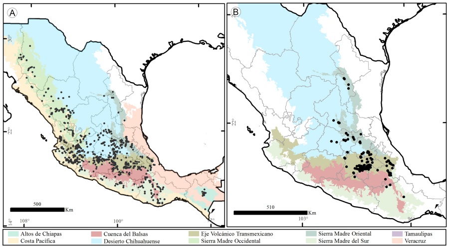 Mapas de distribución para las especies con la distribución más amplia. A. Dahlia coccinea Cav.; B. Dahlia merckii Lehm.