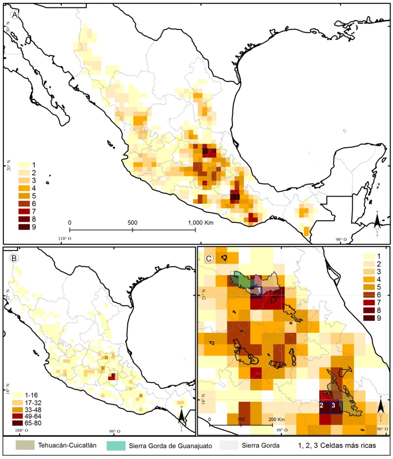 Mapas de riqueza y observaciones de Dahlia Cav. por celdas de 33 × 33 km. A. riqueza de especies; B. riqueza de observaciones; C. riqueza de especies y ANP.