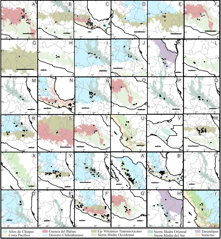 Mapas de distribución para 36 especies de Dahlia Cav. A. D. apiculata (Sherff) P.D. Sørensen; B. D. atropurpurea P.D. Sørensen; C. D. australis (Sherff) P.D. Sørensen; D. D. barkerae Knowles & Westc.; E. D. brevis P.D. Sørensen; F. D. campanulata Saar, P.D. Sørensen & Hjert.; G. D. congestifolia P.D. Sørensen; H. D. cordifolia (Sessé & Moc.) McVaugh; I. D. cuspidata Saar, P.D. Sørensen & Hjert.; J. D. dissecta S. Watson; K. D. foeniculifolia Sherff; L. D. hintonii Sherff; M. D. hjertingii H.V. Hansen & P.D. Sørensen; N. D. imperialis Roezl ex Ortgies; Ñ. D. linearis Sherff; O. D. macdougallii Sherff; P. D. mollis P.D. Sørensen; Q. D. moorei Sherff; R. D. neglecta Saar; S. D. parvibracteata Saar & P.D. Sørensen; T. D. pteropoda Sherff; U. D. pugana Aarón Rodr. & Art. Castro; V. D. purpusii Brandegee; W. D. rudis P.D. Sørensen; X. D. rupicola P.D. Sørensen; Y. D. scapigera Knowles & Westc.; Z. D. scapigeroides Sherff; A’. D. sherffii P.D. Sørensen; B’. D. sorensenii H.V. Hansen & Hjert.; C’. D. spectabilis Saar & P.D. Sørensen; D.’ D. sublignosa (P.D. Sørensen) Saar & P.D. Sørensen; E’. D. tamaulipana J. Reyes, Islas & Art. Castro; F’. D. tenuicaulis P.D. Sørensen; G’. D. tenuis B.L. Rob. & Greenm.; H’. D. tubulata P.D. Sørensen; I’. D. wixarika Art. Castro, Carr.-Ortiz & Aarón Rodr.