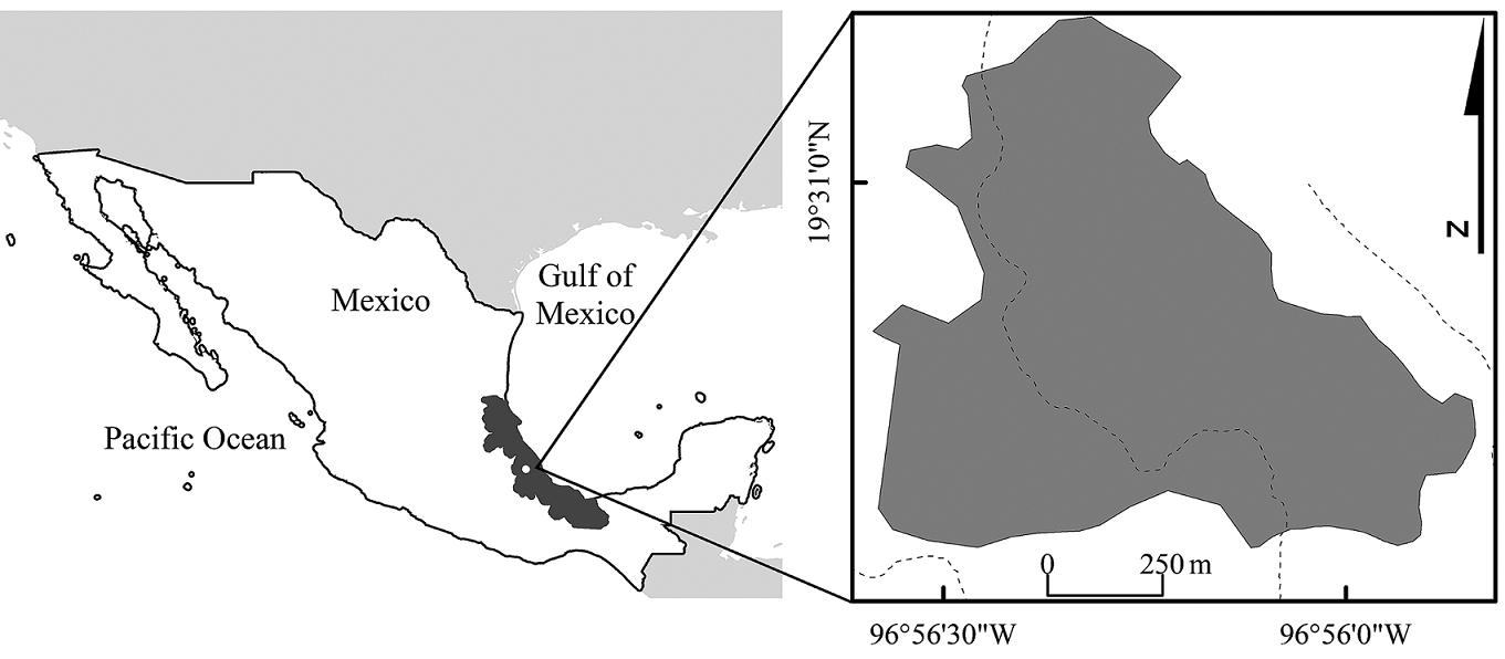 Location of a natural protected area of tropical montane cloud forest, Santuario del Bosque de Niebla, in central Veracruz, Mexico. The location of the study area (white circle) within the state of Veracruz (dark gray polygon) is shown. The dashed lines indicate the rivers and/or streams.