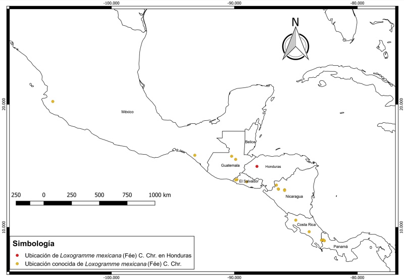 Distribución de Loxogramme mexicana (Fée) C. Chr., mapa elaborado con base en información de TROPICOS (2018).