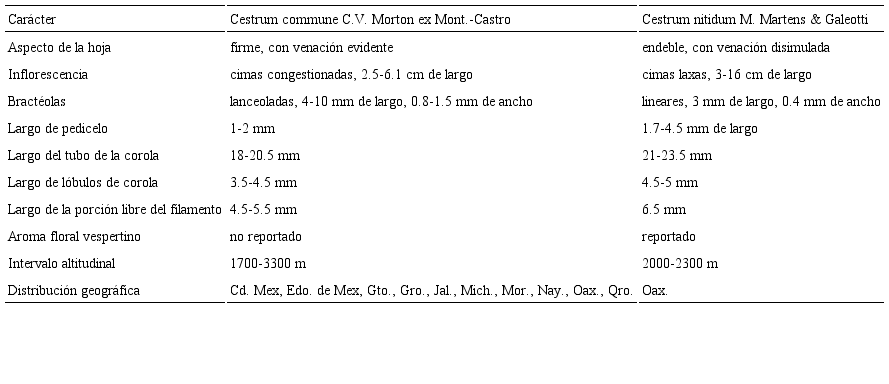 Caracteres importantes para diferenciar Cestrum commune C.V. Morton ex Mont.-Castro de C. nitidum M. Martens & Galeotti.