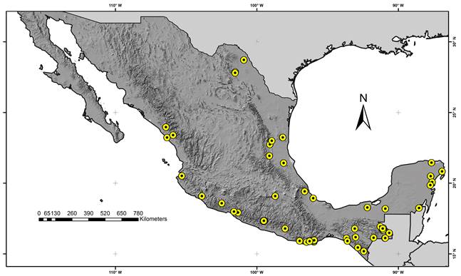 Mapa de la distribución de Mitreola petiolata (Walter ex J.F. Gmel.) Torr. & A. Gray en México.