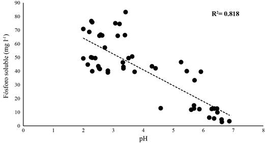 Relación entre el fósforo soluble y el pH producido en medio de cultivo líquido con fosfato tricálcico inoculado, con las cepas fosfato solubilizadoras después de 5, 10, 15, 20 y 25 días de incubación.